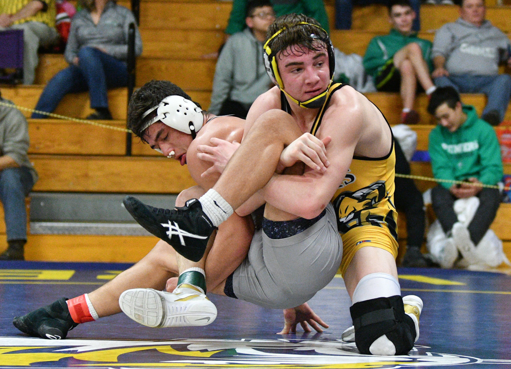 Class 1A Sherrard Wrestling Regional